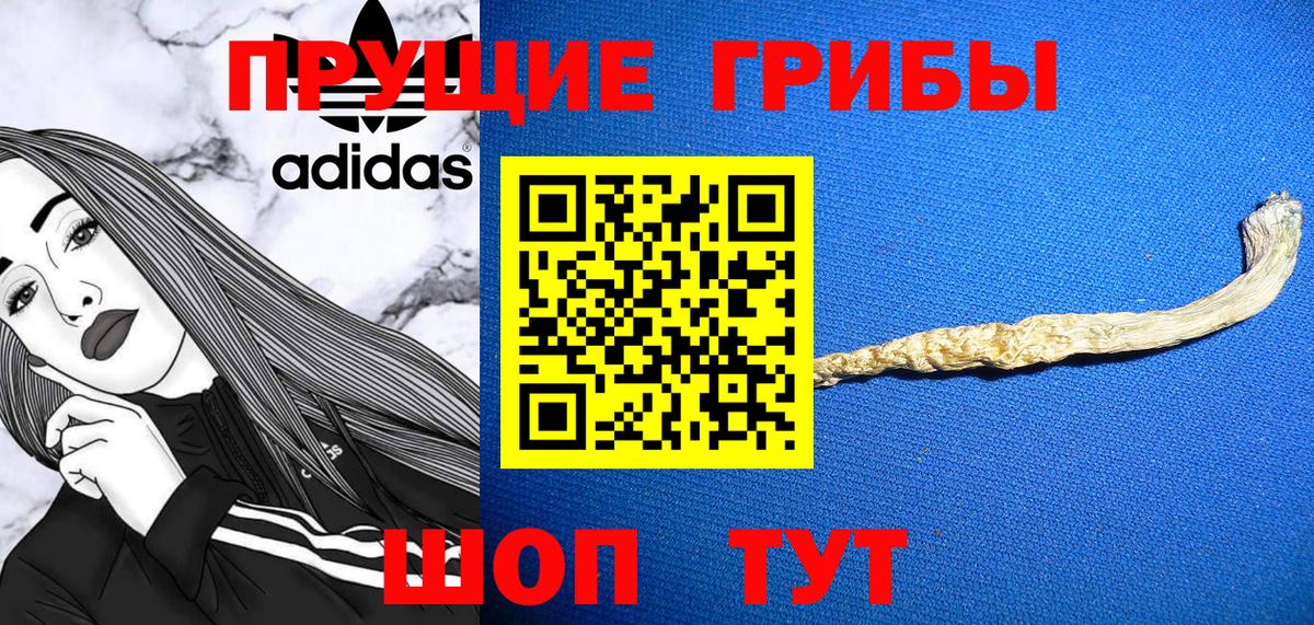 Вязьма  Псилоцибиновые грибы MAGIC MUSHROOMS  Вход с VPN 