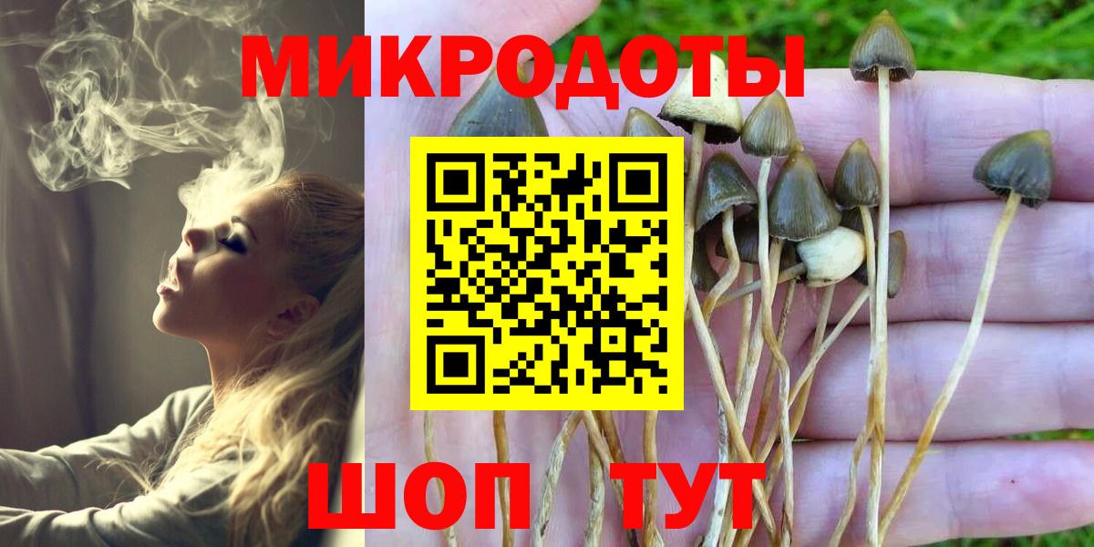 Псилоцибиновые грибы Magic Shrooms Вязьма